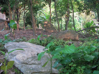 Bí[-]ẩn[-]nơi[-]yên[-]nghỉ[-]của[-]những[-]người[-]bị[-]hổ[-]vồ